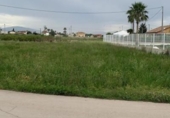Terreny no urbanitzable en venda a la España, Múrcia, ref.: TR119609 foto