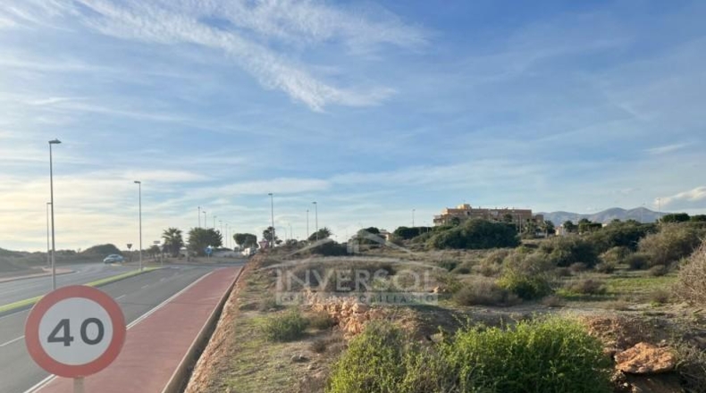Almeria - El Ejido - 2849m2