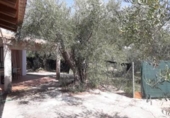 Casa de camp amb terreny en venda a la España, Moratalla, ref.: TR300939 foto