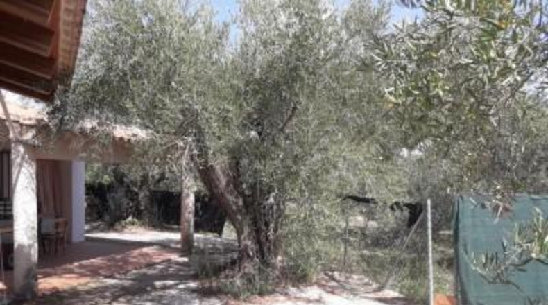 Murcia - Moratalla - 1700m2