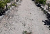 Non-developable land for sale on España, Moratalla, ref: TR143956 photo