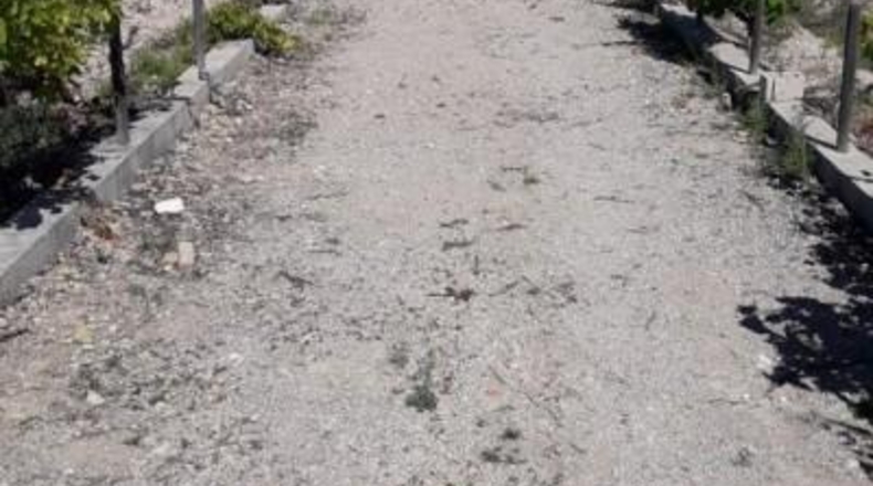 Murcia - Moratalla - 2596m2