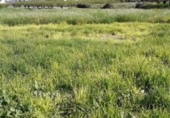 Non-developable land for sale on España, Moratalla, ref: TR143962 photo