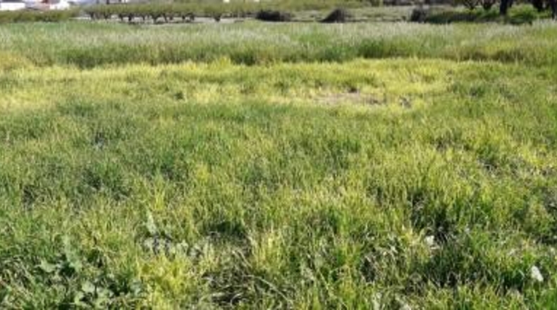 Murcia - Moratalla - 5126m2