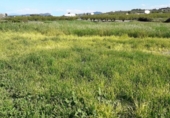 Non-developable land for sale on España, Moratalla, ref: TR143962 photo