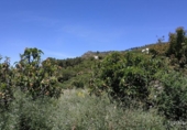 Non-developable land for sale on España, Otívar, ref: TR113214 photo