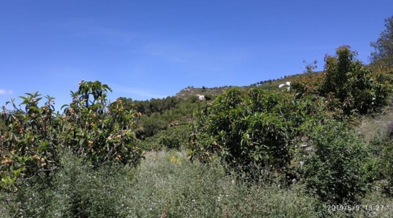 Granada - Otívar - 5500m2
