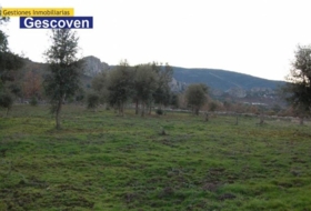 Valencia de Alcántara 6000&nbsp;m²