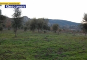 Non-developable land for sale on España, Valencia de Alcántara, ref: TR240025 photo