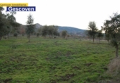 Non-developable land for sale on España, Valencia de Alcántara, ref: TR240025 photo