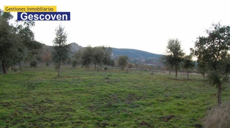 Cáceres - Valencia de Alcántara - 6000m2
