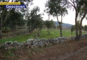 Non-developable land for sale on España, Valencia de Alcántara, ref: TR240025 photo