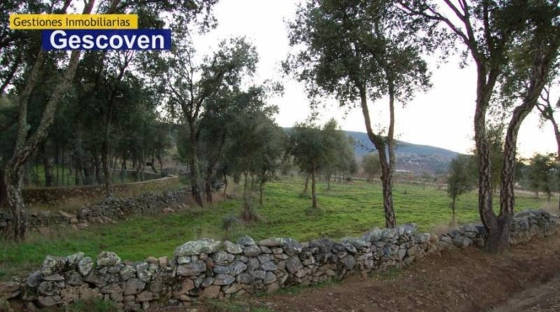 Cáceres - Valencia de Alcántara - 6000m2
