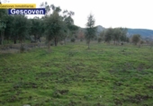 Non-developable land for sale on España, Valencia de Alcántara, ref: TR240025 photo
