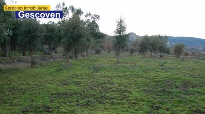 Cáceres - Valencia de Alcántara - 6000m2