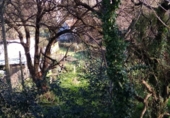 Non-developable land for sale on España, Vigo, ref: TR113858 photo