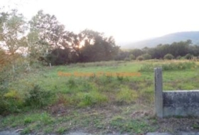 Tomiño 1100&nbsp;m²