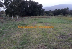 Tomiño 1100&nbsp;m²