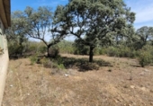 Non-developable land for sale on España, Villanueva del Duque, ref: TR123029 photo