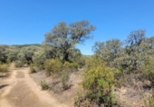 Non-developable land for sale on España, Villanueva del Duque, ref: TR123029 photo