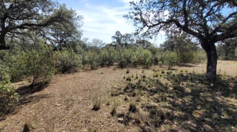 Córdoba - Villanueva del Duque - 8680m2