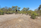 Non-developable land for sale on España, Villanueva del Duque, ref: TR123029 photo