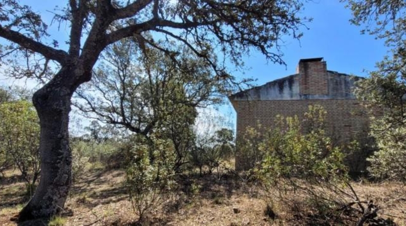 Córdoba - Villanueva del Duque - 8680m2