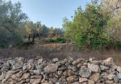 Terreny no urbanitzable en venda a la España, el Perelló, ref.: TR118446 foto