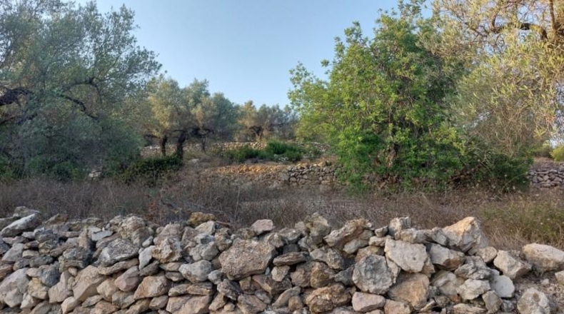 Tarragona - el Perelló - 26254m2