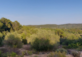 Terreny no urbanitzable en venda a la España, el Perelló, ref.: TR118446 foto
