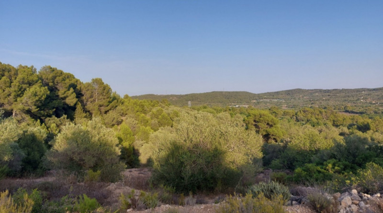 Tarragona - el Perelló - 26254m2