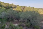 Terreny no urbanitzable en venda a la España, el Perelló, ref.: TR118446 foto