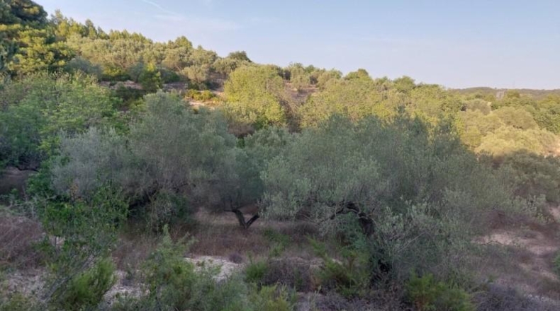 Tarragona - el Perelló - 26254m2