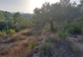 Terreny no urbanitzable en venda a la España, el Perelló, ref.: TR118446 foto