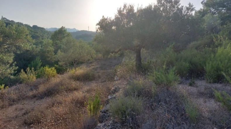 Tarragona - el Perelló - 26254m2