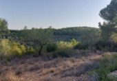 Terreny no urbanitzable en venda a la España, el Perelló, ref.: TR118446 foto