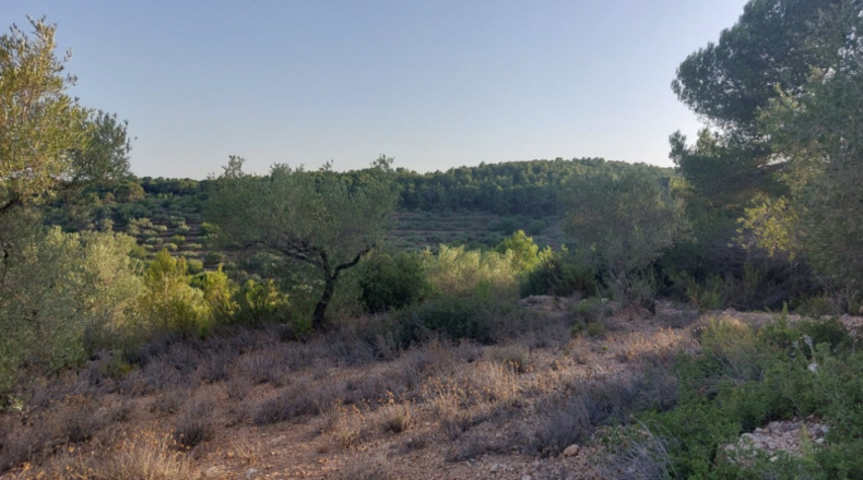 Tarragona - el Perelló - 26254m2