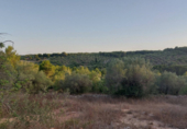 Terreny no urbanitzable en venda a la España, el Perelló, ref.: TR118446 foto