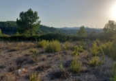 Terreny no urbanitzable en venda a la España, el Perelló, ref.: TR118446 foto