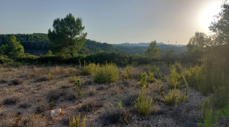 Tarragona - el Perelló - 26254m2