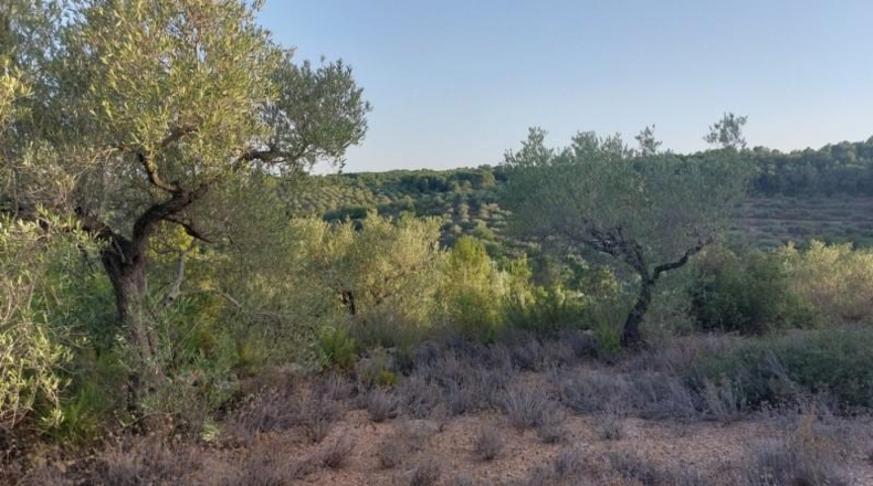 Tarragona - el Perelló - 26254m2