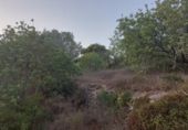 Terreny no urbanitzable en venda a la España, el Perelló, ref.: TR118446 foto
