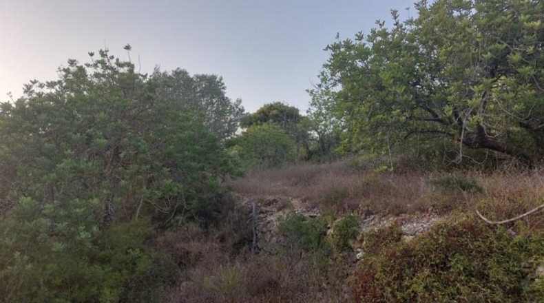 Tarragona - el Perelló - 26254m2