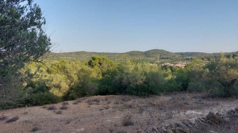 Tarragona - el Perelló - 26254m2