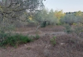 Terreny no urbanitzable en venda a la España, el Perelló, ref.: TR118446 foto