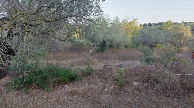 Tarragona - el Perelló - 26254m2