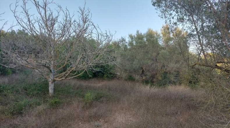 Tarragona - el Perelló - 26254m2
