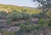 Terreny no urbanitzable en venda a la España, el Perelló, ref.: TR118446 foto