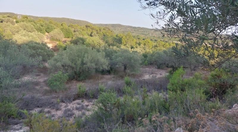 Tarragona - el Perelló - 26254m2