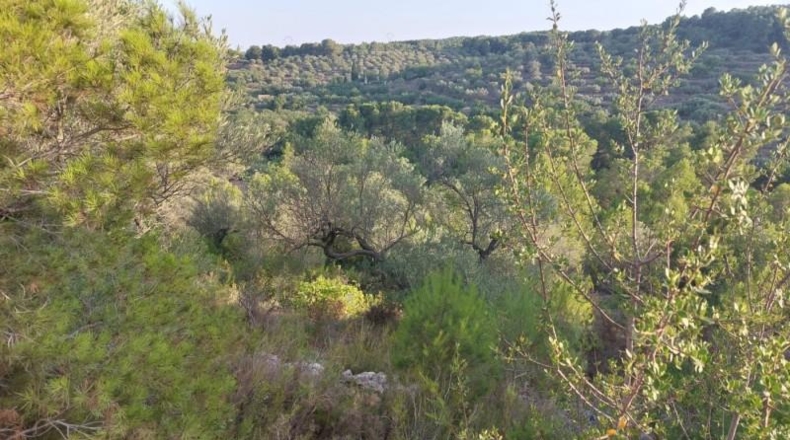 Tarragona - el Perelló - 26254m2
